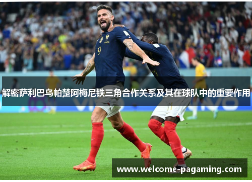 解密萨利巴乌帕楚阿梅尼铁三角合作关系及其在球队中的重要作用