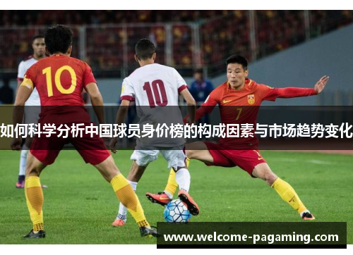 如何科学分析中国球员身价榜的构成因素与市场趋势变化