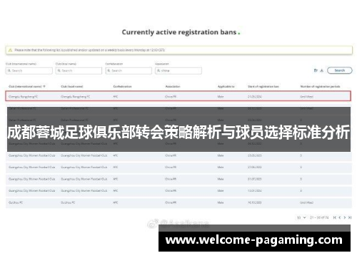 成都蓉城足球俱乐部转会策略解析与球员选择标准分析