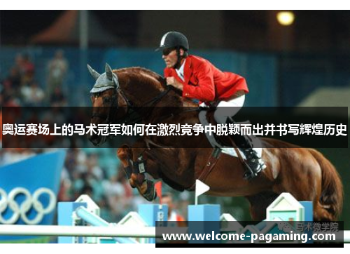 奥运赛场上的马术冠军如何在激烈竞争中脱颖而出并书写辉煌历史