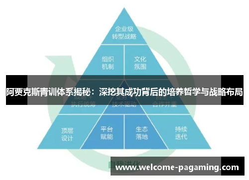 阿贾克斯青训体系揭秘：深挖其成功背后的培养哲学与战略布局