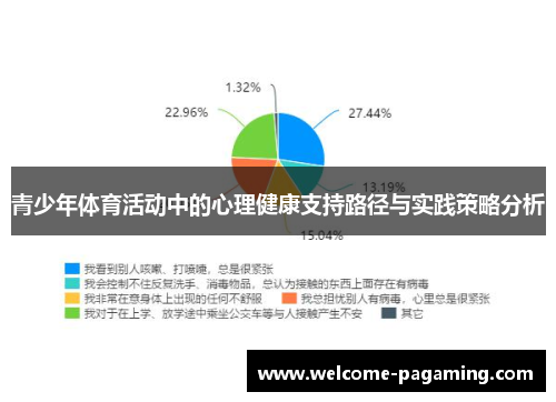 青少年体育活动中的心理健康支持路径与实践策略分析