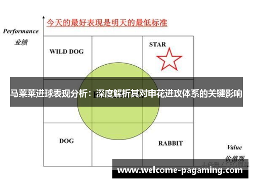 马莱莱进球表现分析：深度解析其对申花进攻体系的关键影响