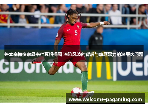 鲁本塞梅多家暴事件真相揭露 深陷风波的背后与家庭暴力的深层次问题