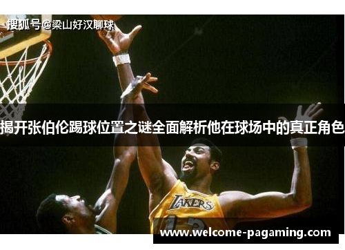 揭开张伯伦踢球位置之谜全面解析他在球场中的真正角色