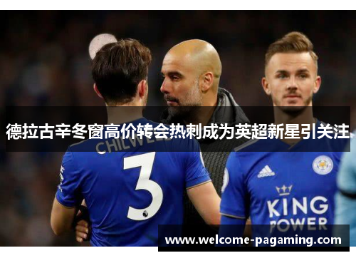 德拉古辛冬窗高价转会热刺成为英超新星引关注