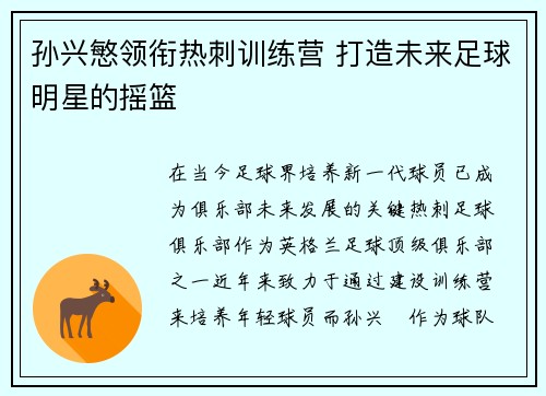 孙兴慜领衔热刺训练营 打造未来足球明星的摇篮