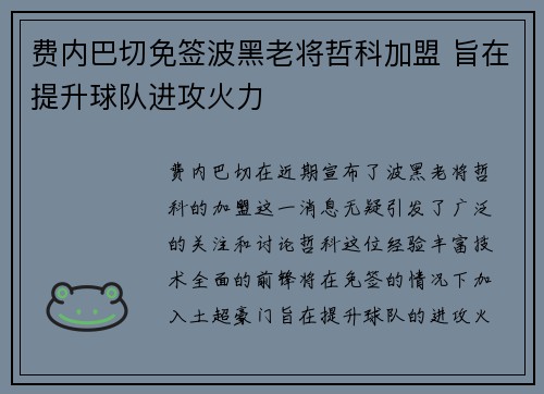 费内巴切免签波黑老将哲科加盟 旨在提升球队进攻火力 费内巴切免签波黑老将哲科加盟 旨在提升球队进攻火力